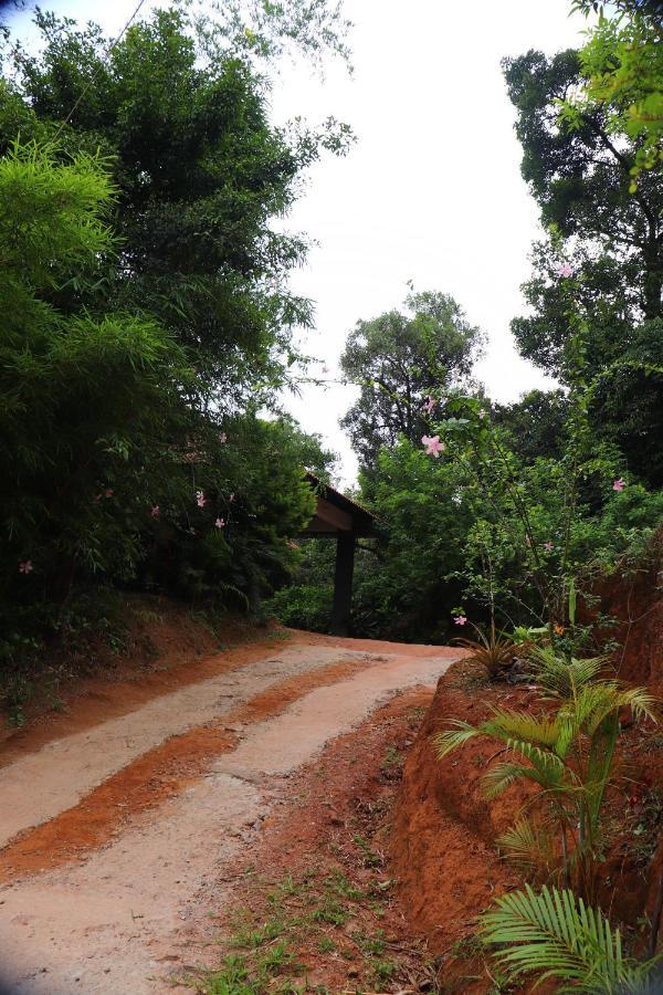 Coorg Nature Breeze Home Stay Madikeri Exterior foto