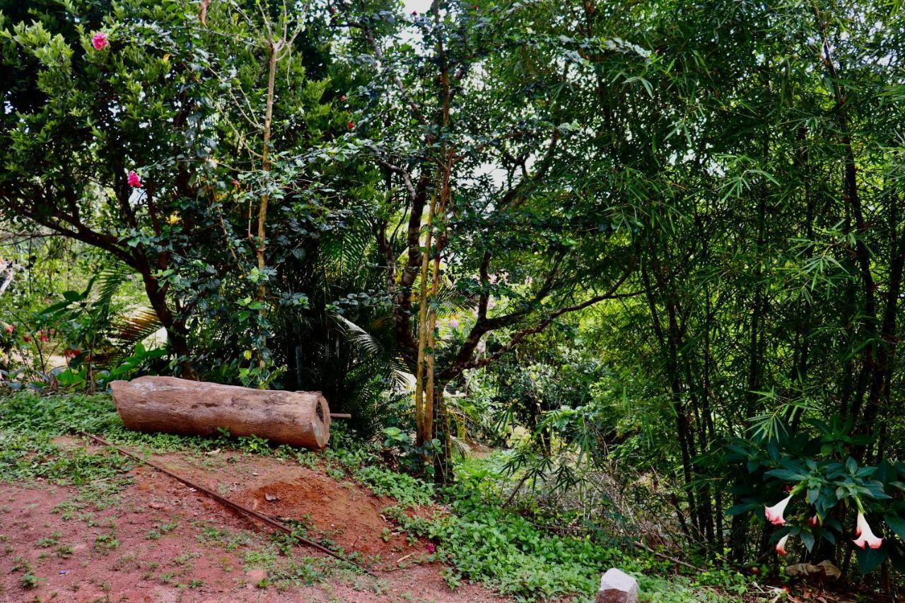 Coorg Nature Breeze Home Stay Madikeri Exterior foto